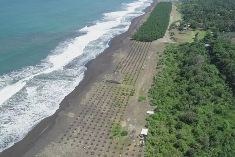 Pesisir selatan Tasikmalaya, Jawa Barat.
