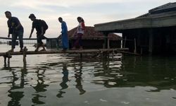 Otorita Pengelola Pantura Jawa Fokus Bangun Tanggul Laut untuk Jaga Ekosistem Pesisir