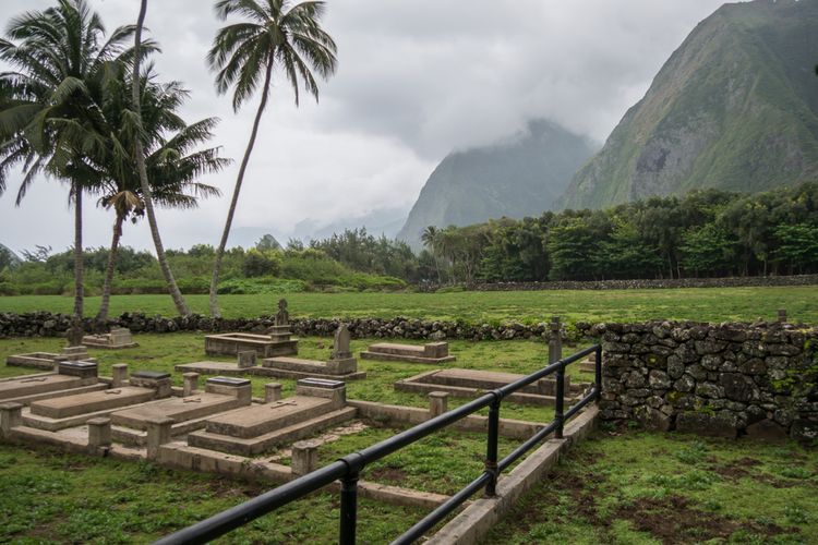 The feed was found in a leper colony in Molokai, Hawaii.