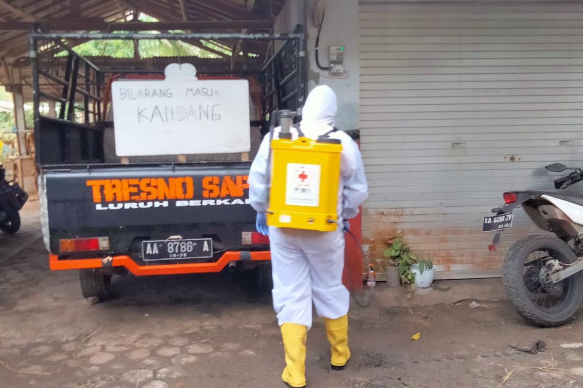 Dok BPBD Kabupaten Purworejo: Para petugas gabungan melakukan penyemprotan desinfektan di kandang milik salah satu warga Desa Somorejo Kecamatan Bagelen, didepan Kandang tertulis dilarang masuk kandang sebagai upaya pencegahan meluasnya wabah PMK ini 