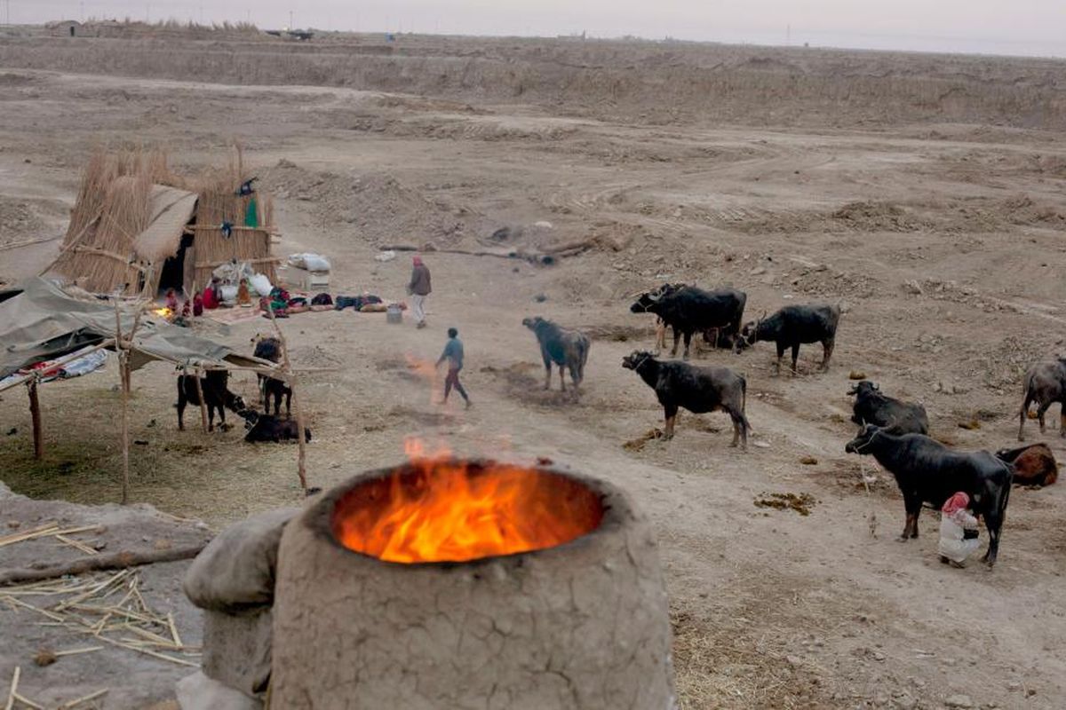 Sebuah keluarga di Chibaish, Irak. Keluarga ini pindah ke daerah ini untuk mencari air, tetapi mayoritas rawa di Chibaish telah mengering.