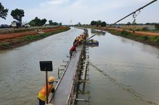 Bakal Pasok Air 87.840 Hektar Sawah di Tiga Kabupaten Jabar, Ini Progres Jaringan Irigasi Rentang