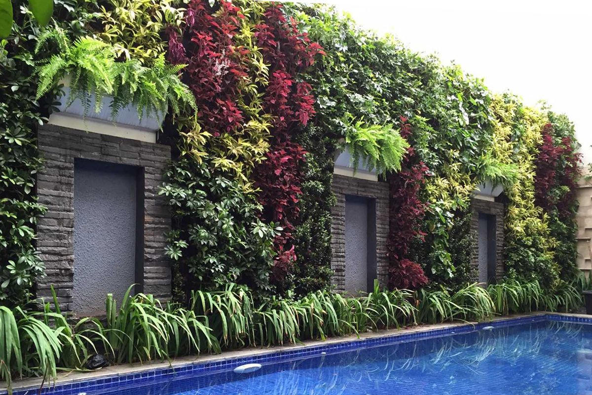 Vertical garden di sekitar kolam renang, karya Aditya Wijaya
