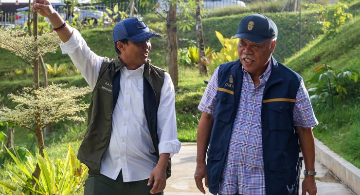 Hutan dan Lahan IKN yang Berhasil Direhabilitasi 1.805 Hektar