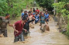 Puluhan Pemuda Berjibaku Selamatkan Sapi yang Terseret Banjir