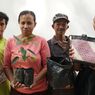 Cerita dari Kalimantan ke Dunia, Warga ke Klinik Kesehatan Bayar dengan Bibit Tanaman