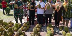 Sambut Panen, Gubernur Riau Hadiri Gebyar Makan Durian Bantan 2022