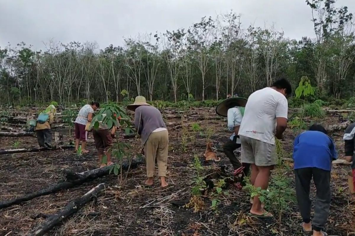 Margot va Maksning shisha jinsiy aloqa shousi