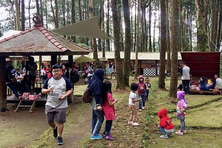 Pengunjung menikmati keindahan alam di obyek wisata Kopeng Treetop Adventure Park, Sabtu (11/2/2017). Sempat berhenti beroperasi sekitar tiga tahun, area permainan ketangkasan tersebut dibuka kembali pada Mei 2016. 