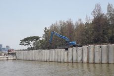 Proyek Tanggul Pantai dan 