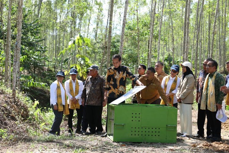 Presiden Joko Widodo (Jokowi) melakukan peninjauan sekaligus pencanangan kawasan Wanagama Nusantara yang berada di Zona Rimba Kota B Kawasan Inti Pusat Pemerintahan (KIPP), Ibu Kota Nusantara (IKN), Jumat (13/09/2024).  