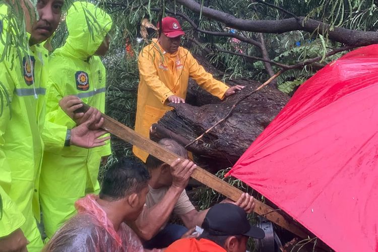 Hujan Deras Binjai Robohkan 6 Pohon dan Rusak 8 Rumah, Tukang Bakso Jadi Korban sampai Mengalami Patah Kaki