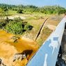 Cek Perlintasan Gajah di Tol Pekanbaru-Dumai, Jokowi Ingatkan Pembangunan Tak Boleh Ganggu Lingkungan
