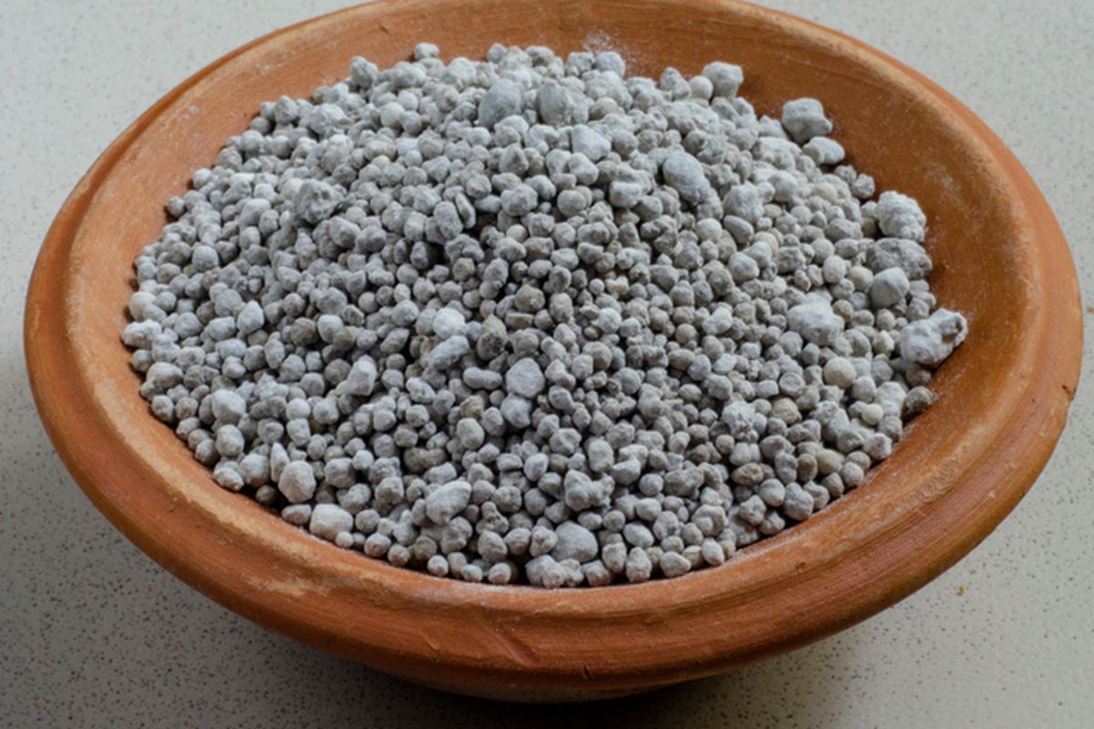 Ilustrasi pupuk TSP atau triple super phosphate.