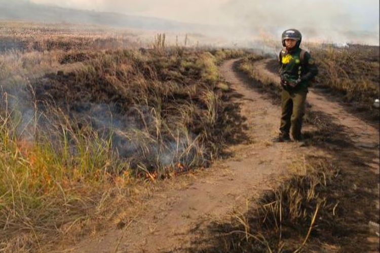 Antisipasi Karhutla, 4 Jalur Pendakian Gunung Tambora Ditutup
