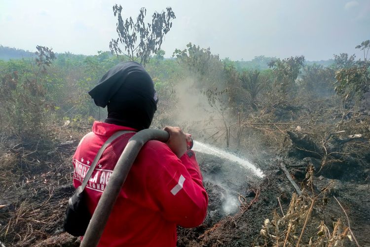 Petugas Manggala Agni melakukan pemadaman karhutla yang terjadi di Riau beberapa waktu lalu.