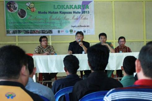 Melirik Potensi Pasar Madu Hutan Kapuas Hulu 