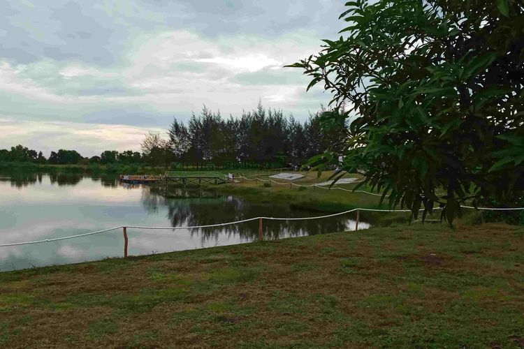 Kampoeng Reklamasi Selinsing bekas tambang timah di Belitung Timur.