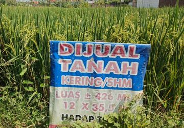 Status Sertifikat Tanah Bisa Dicek di BPN, Tarifnya Rp 50.000