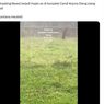 Viral, Video Hujan Es di Kompleks Candi Arjuna, Ini Penjelasan BMKG