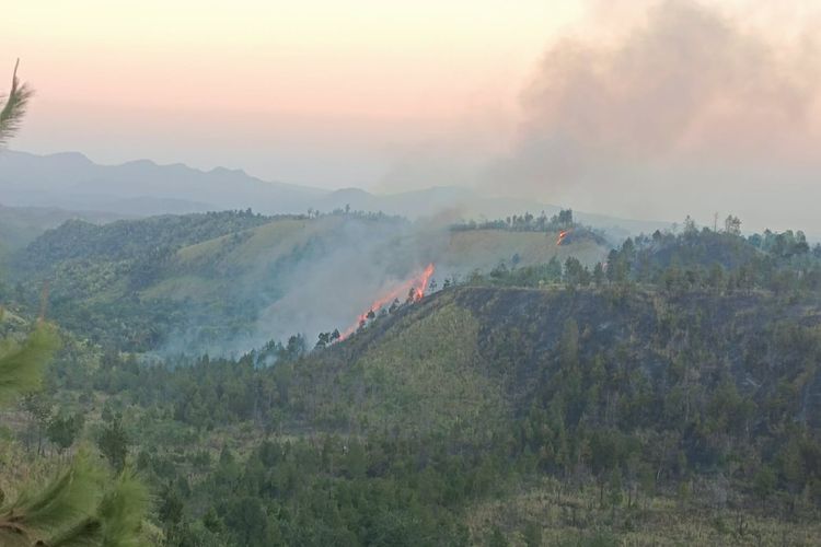 Kebakaran Hutan Lindung Gunung Soputan Diduga Disebabkan Puntung Rokok