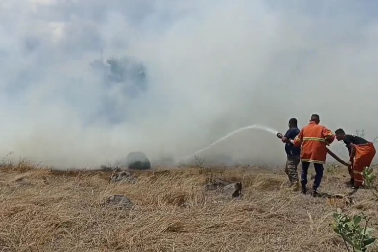 Foto: Tim pemadam sedang berusaha memadamkan api yang membakar lahan lahan di wilayah Kelurahan Waioti, Kecamatan Alok, Kabupaten Sikka, Nusa Tenggara Timur (NTT), Selasa (1/11/2022).