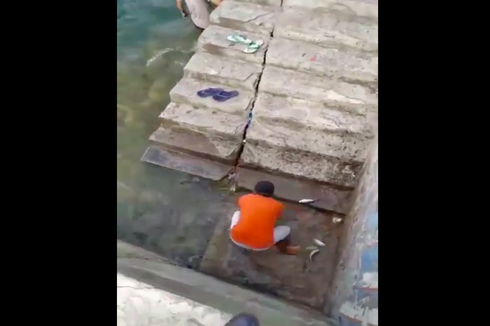 Ikan Loncat ke Permukaan di Pesisir Gorontalo, Pertanda Gempa dan Tsunami?