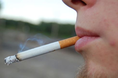 Warga yang Lahir Setelah 2010 Dilarang Beli Rokok Seumur Hidup di Selandia Baru
