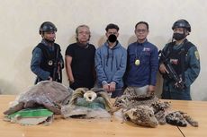 Penjual Bagian Tubuh Macan Ditangkap di Bekasi