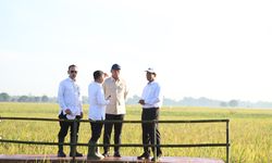 Dua Peran Berbeda Mentan Amran dan Wamentan Sudaryono Capai Swasembada Pangan