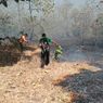 15 Hektar Hutan Baluran Situbondo Terbakar Diduga Gara-gara Ulah Manusia, Ini Faktanya