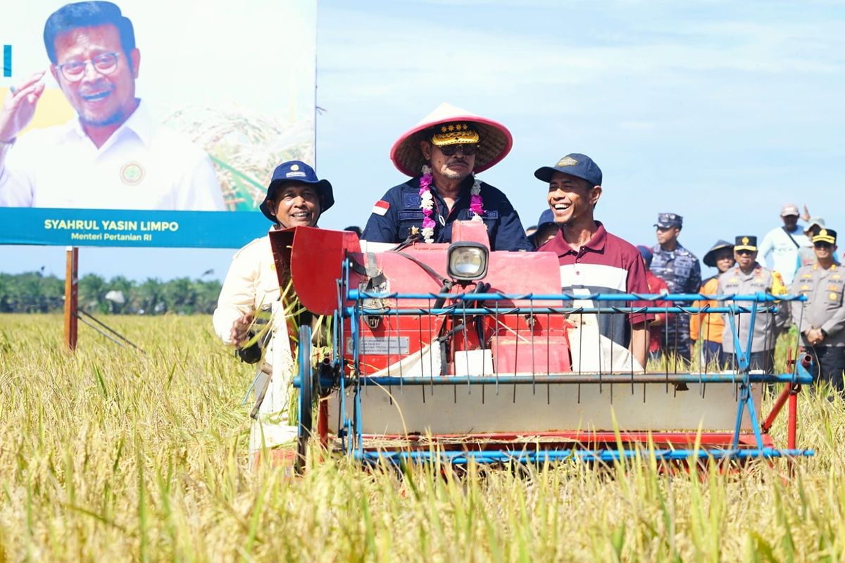 Menteri Pertanian (Mentan) Syahrul Yasin Limpo (SYL) saat melakukan panen raya padi di Desa Sari Mulyo, Kecamatan Sukaraja, Kabupaten Seluma, Bengkulu, Jumat (10/2/2023).
