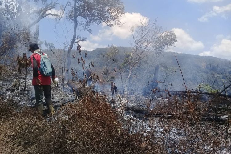 Karhutla terjadi di Gunung Argopuro dan wisata trek pendakian ditutup sementara.