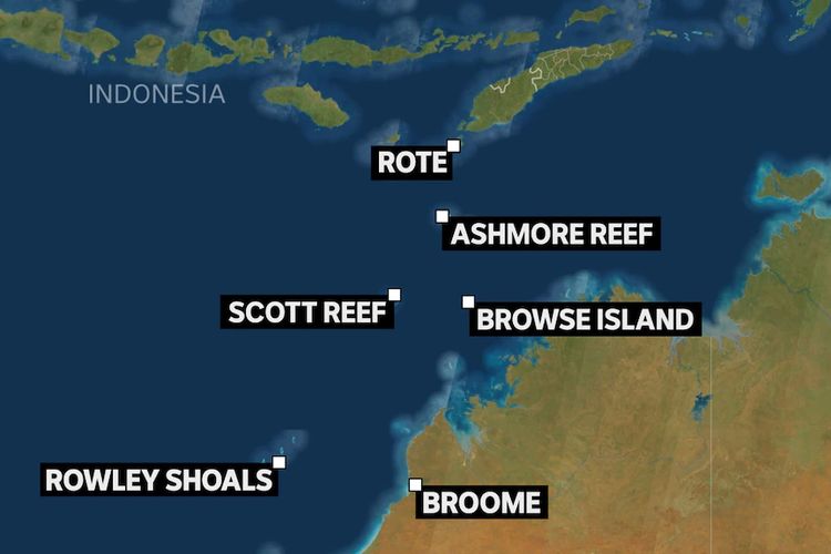 Bangkai penyu hijau ditemukan di Scott Reef dan Browse Island.