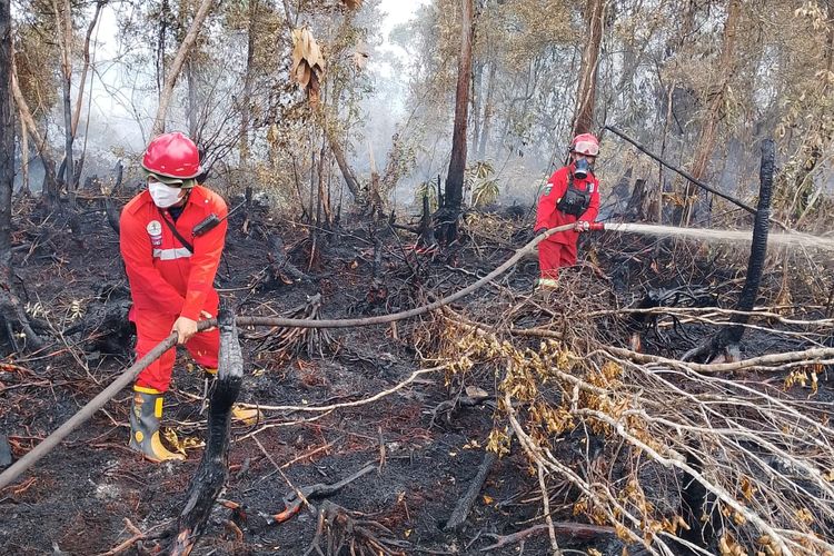 Karhutla 4 Hektar di Dekat Akses Bandara Singkawang Padam, Petugas Cari Sisa Api Kecil