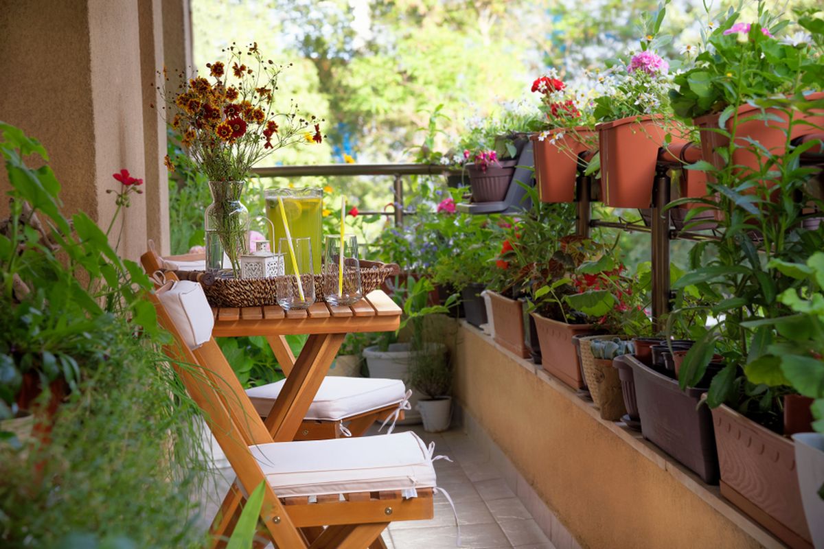 Ilustrasi balkon rumah yang dihiasi beragam tanaman hias.