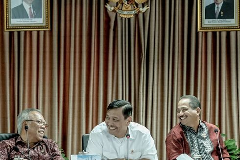 Luhut: Bantuan Perusahaan Asuransi China Masih Sebatas Saran