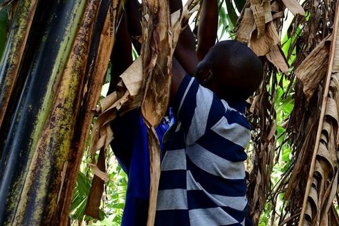 Uganda Buat UU Larang Tumbal Anak agar Orangtua Cepat Kaya, Pelanggar Dihukum Mati