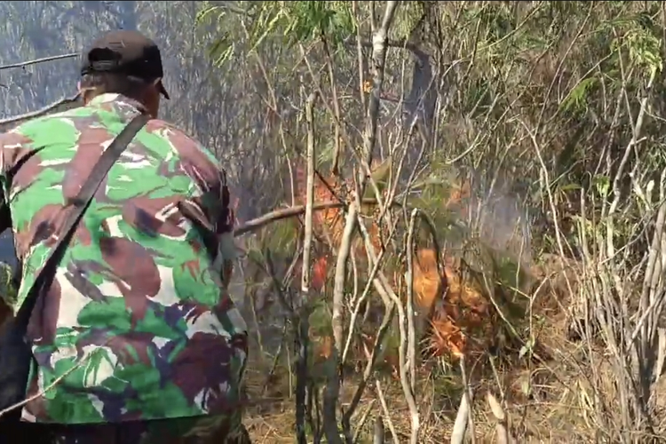 Kebakaran Hutan Pinus Semeru Meluas, Pemadaman Terkendala Akses Air