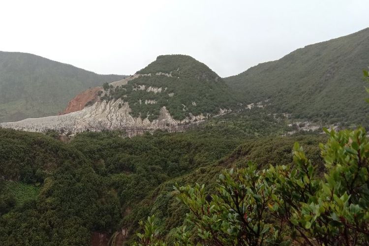 Area Hutan Mati Papandayan dari kejauhan