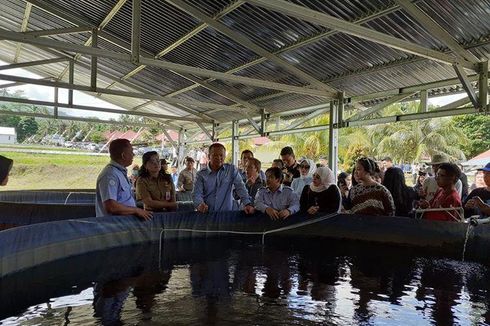 Polemik Pakan Ikan Masih Mahal, Ini Kata Menteri KKP