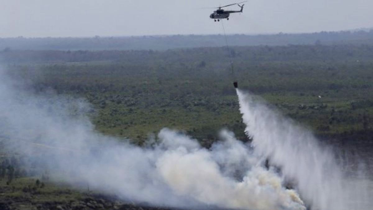 Karhutla Indonesia 2025 Capai 359.000 Hektar, Ini 7 Provinsi yang Rawan ~WR

Klik untuk baca: