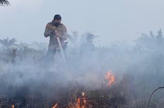 Lahan Gambut di Pelalawan Riau Terbakar, Pemadaman Dilakukan Siang Malam