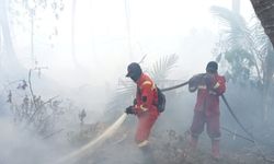 Waspada, Ancaman Kebakaran Hutan di Indonesia Lebih Berat Saat Musim Kemarau 2026