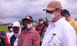 Bangun Food Estate Tahap 1, Airlangga: Pemerintah Siapkan Lahan 30.000 Hektare