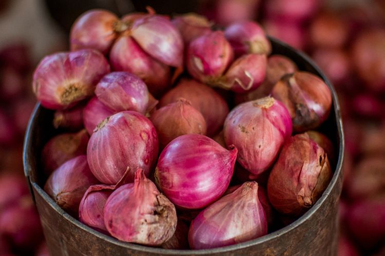 Penyakit Busuk Daun Bawang Merah: Penyebab, Gejala, Dan Solusinya