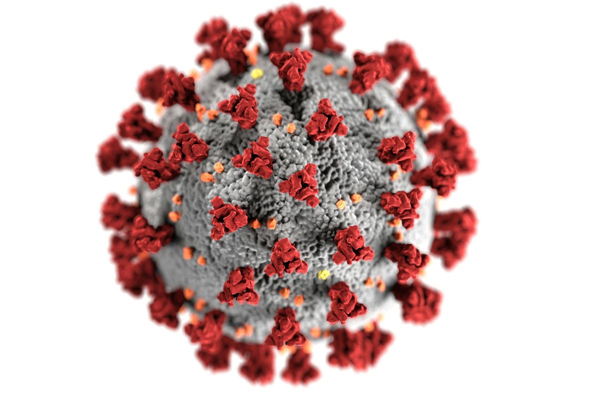 HMPV merupakan virus yang menular seperti flu biasa. Penularnya bisa melalui droplet dari orang yang batuk dan bersin atau benda terkontaminasi.