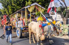 Uniknya Parade Puluhan Cikar Hias di Kediri 