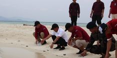 Gandeng Pihak Ketiga, Kementerian KP Kembangkan Pulau Cemara Jadi Ekowisata Bahari