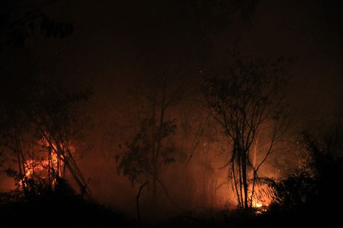 Kebakaran Lahan Dekati Fakultas Kedokteran Universitas Tanjungpura Pontianak